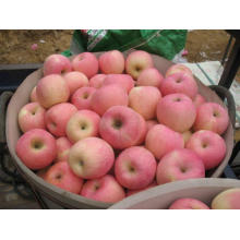 2015 Crop Good Delicous Apple